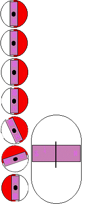 1696900758197057.gif c4.gif