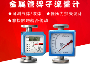 液體轉(zhuǎn)子流量計(jì)